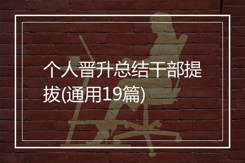 个人晋升总结干部提拔(通用19篇)