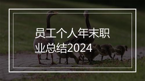 员工个人年末职业总结2024