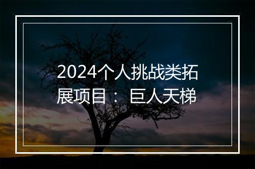 2024个人挑战类拓展项目： 巨人天梯