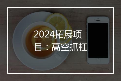 2024拓展项目：高空抓杠