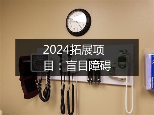 2024拓展项目：盲目障碍