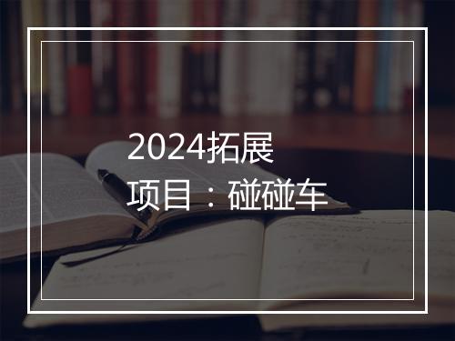 2024拓展项目：碰碰车