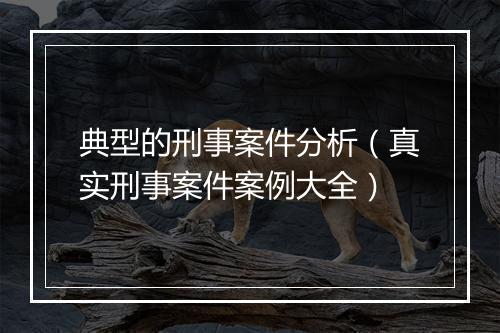 典型的刑事案件分析（真实刑事案件案例大全）