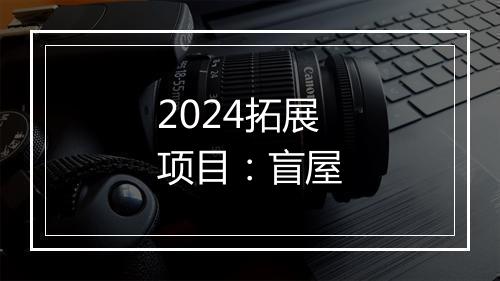 2024拓展项目：盲屋