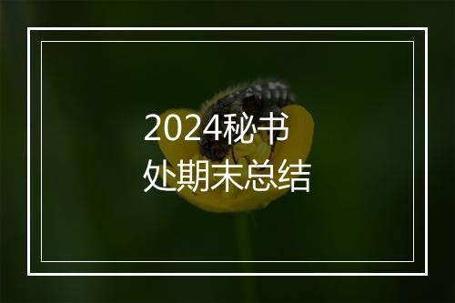 2024秘书处期末总结