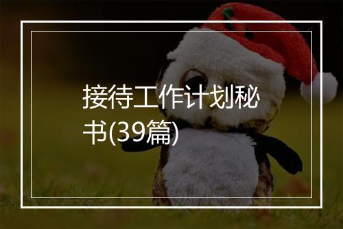 接待工作计划秘书(39篇)