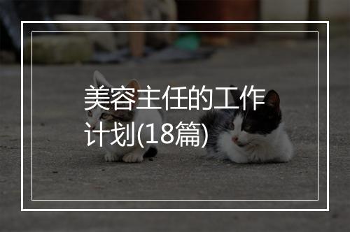 美容主任的工作计划(18篇)