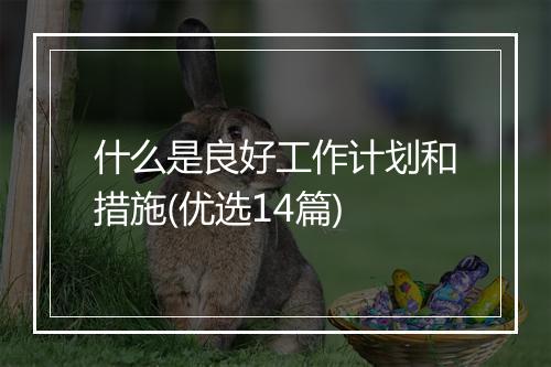 什么是良好工作计划和措施(优选14篇)
