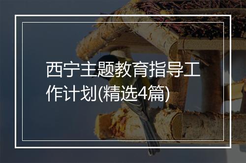 西宁主题教育指导工作计划(精选4篇)