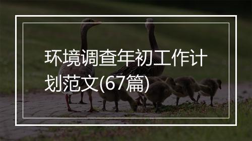 环境调查年初工作计划范文(67篇)