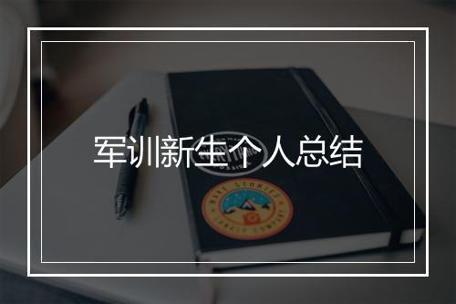 军训新生个人总结