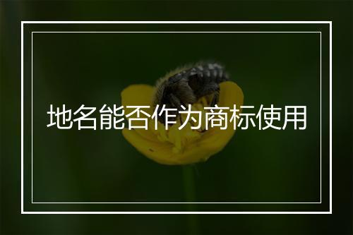 地名能否作为商标使用