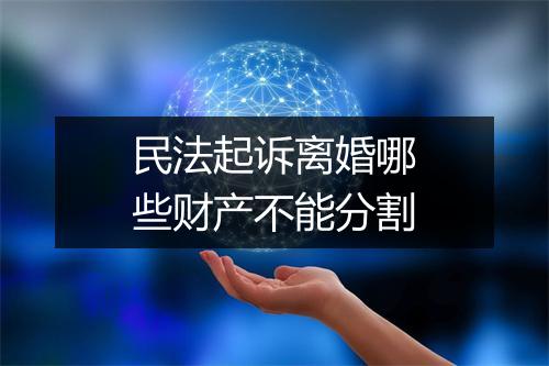 民法起诉离婚哪些财产不能分割