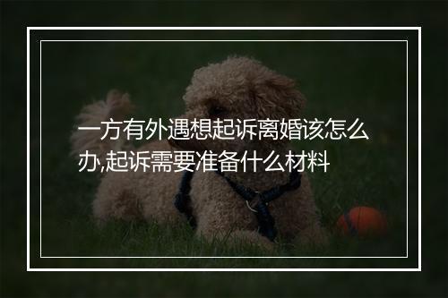 一方有外遇想起诉离婚该怎么办,起诉需要准备什么材料
