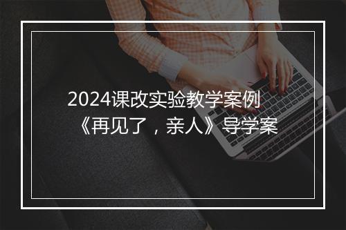 2024课改实验教学案例 《再见了，亲人》导学案