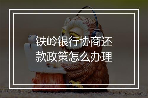 铁岭银行协商还款政策怎么办理