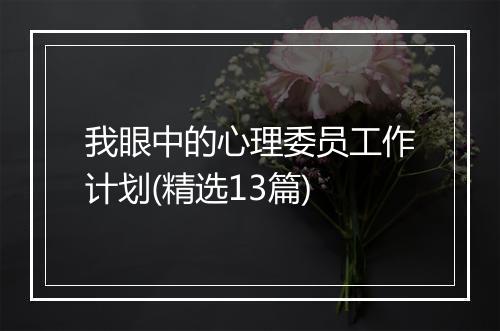 我眼中的心理委员工作计划(精选13篇)