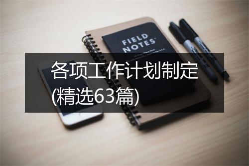 各项工作计划制定(精选63篇)