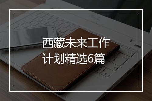 西藏未来工作计划精选6篇