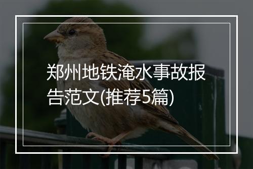 郑州地铁淹水事故报告范文(推荐5篇)