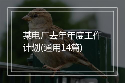 某电厂去年年度工作计划(通用14篇)