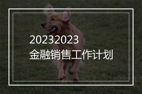 20232023金融销售工作计划