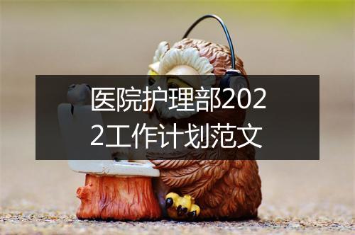 医院护理部2022工作计划范文