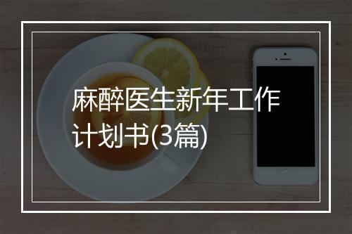 麻醉医生新年工作计划书(3篇)