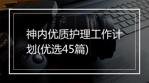 神内优质护理工作计划(优选45篇)