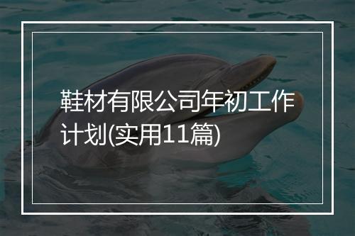 鞋材有限公司年初工作计划(实用11篇)