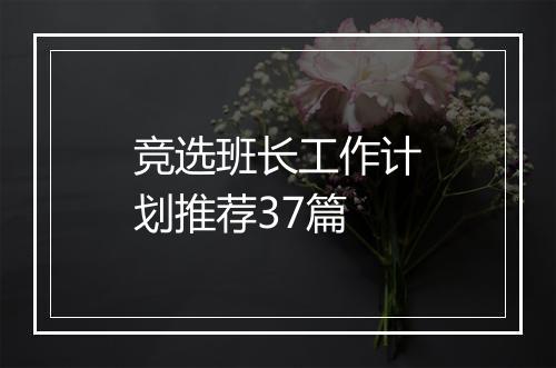 竞选班长工作计划推荐37篇