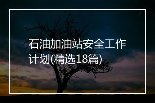 石油加油站安全工作计划(精选18篇)