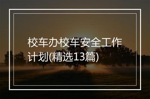 校车办校车安全工作计划(精选13篇)