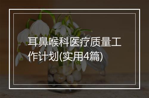 耳鼻喉科医疗质量工作计划(实用4篇)