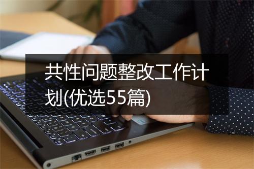 共性问题整改工作计划(优选55篇)