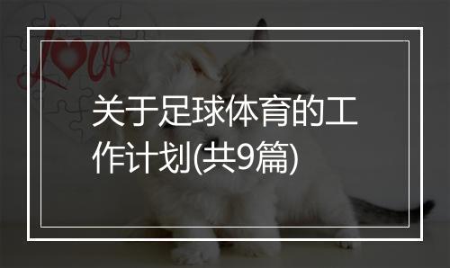 关于足球体育的工作计划(共9篇)