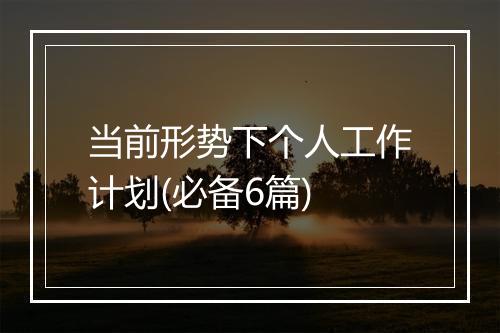 当前形势下个人工作计划(必备6篇)