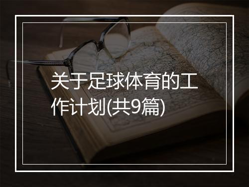 关于足球体育的工作计划(共9篇)