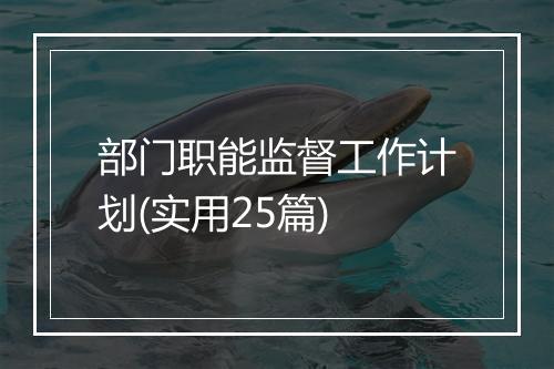 部门职能监督工作计划(实用25篇)