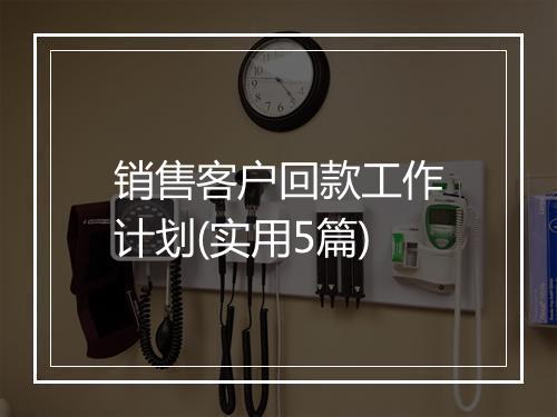 销售客户回款工作计划(实用5篇)