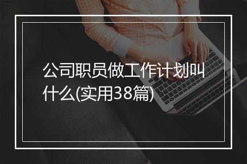 公司职员做工作计划叫什么(实用38篇)