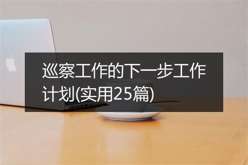 巡察工作的下一步工作计划(实用25篇)
