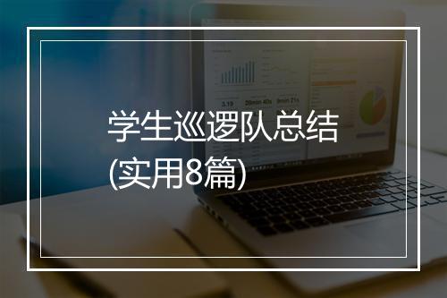 学生巡逻队总结(实用8篇)