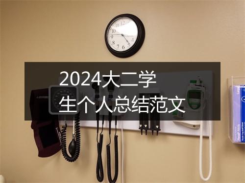 2024大二学生个人总结范文