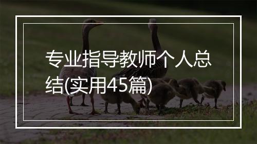 专业指导教师个人总结(实用45篇)