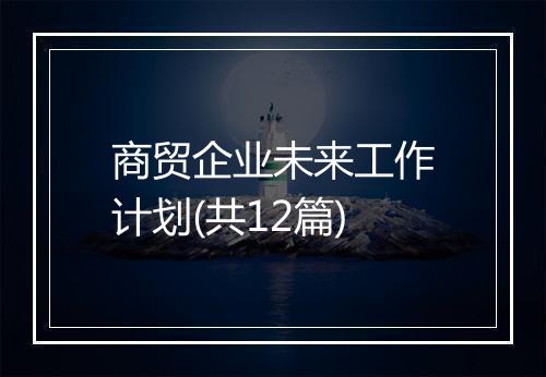 商贸企业未来工作计划(共12篇)