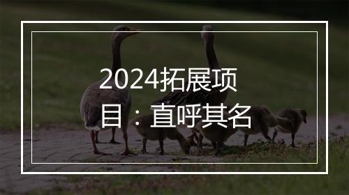 2024拓展项目：直呼其名