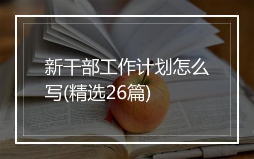 新干部工作计划怎么写(精选26篇)