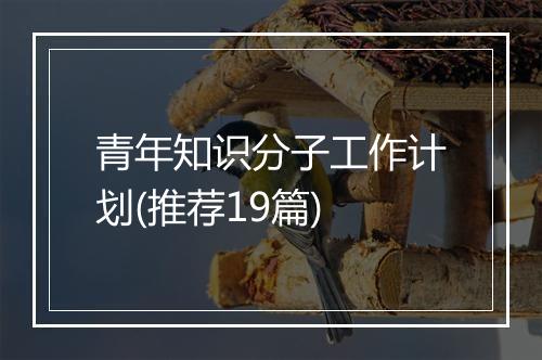 青年知识分子工作计划(推荐19篇)