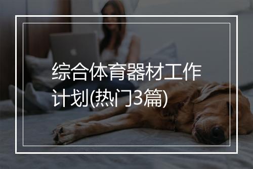 综合体育器材工作计划(热门3篇)